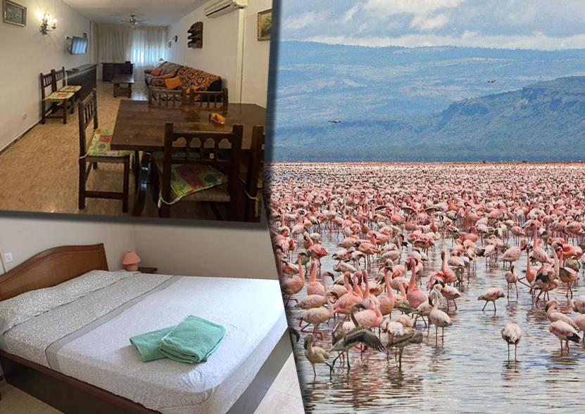 Ferienwohnung Eucaliptus, Bonito Piso A Pocos Pasos De La Playa Delta De L'Ebre L'Eucaliptus Exterior foto